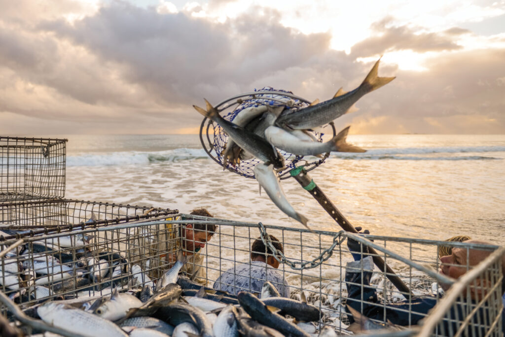 Eat, Drink and Be Straddie North Stradbroke Island cookbook by Angie Simms and Stuart Quinn. Mullet fishermen